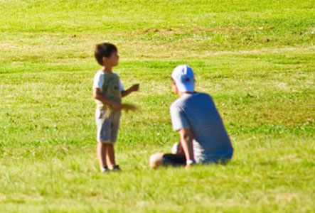 遺産を相続する法定相続人について